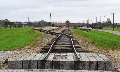 Klassetur til Auschwitz med Hvite Busser